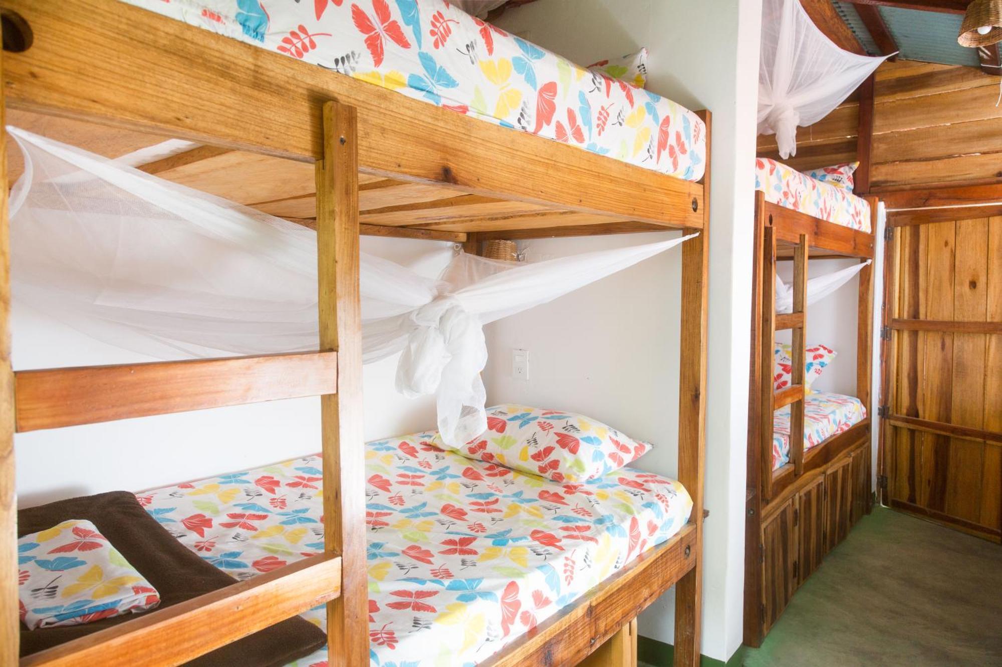 Mundo Nuevo Eco Lodge มินกา ห้อง รูปภาพ